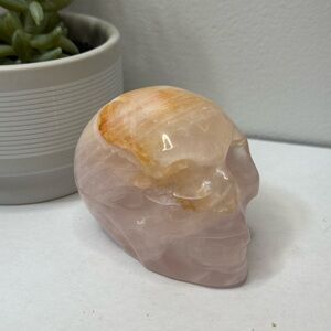Rose Quartz Skull with Golden Healer